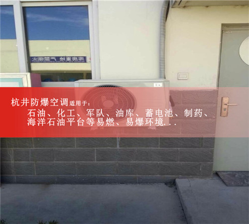 防爆空调柜式10匹BLF-28案例图