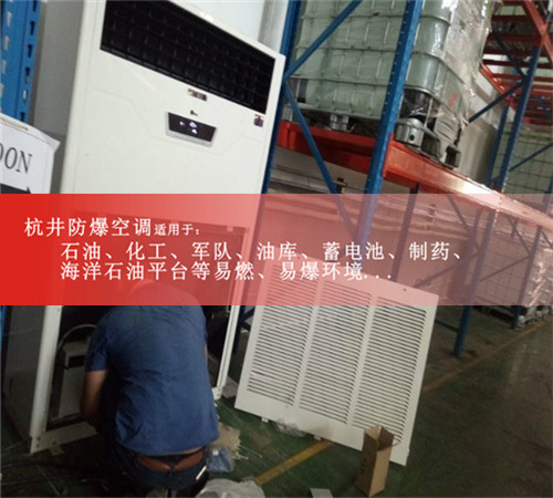 防爆空调柜式10匹BLF-28案例图
